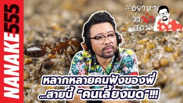 หลากหลายคนฟังของพี่…สายนี้ “คนเลี้ยงมด”!!! | #อย่าหาว่าน้าสอน