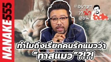 ทำไมถึงเรียกคนรักแมวว่า “ทาสแมว”?!?! | #อย่าหาว่าน้าสอน