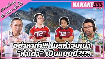 อย่าหาทำ!!! โมฯหำจนเน่า “หำเต่า” เป็นแบบนี้?!?! | #หงี่เหลาเป่าติ้ว