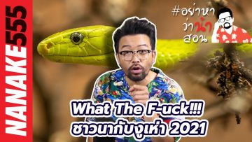 What The F-uck!!! ชาวนากับงูเห่า 2021 | #อย่าหาว่าน้าสอน