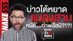 บ่าวใต้หยาด “แมลงสาบ” หนัด…ทำพรือนิ?!?! | #อย่าหาว่าน้าสอน