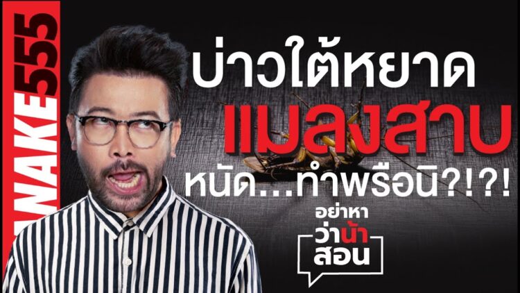 บ่าวใต้หยาด “แมลงสาบ” หนัด…ทำพรือนิ?!?! | #อย่าหาว่าน้าสอน