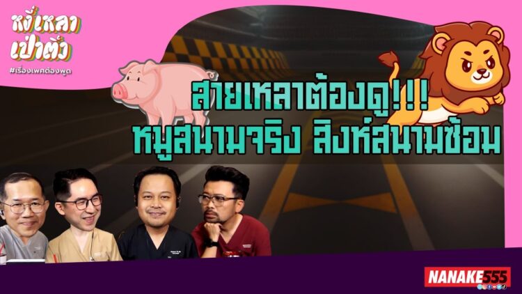 สายเหลาต้องดู!!! หมูสนามจริง สิงห์สนามซ้อม | #หงี่เหลาเป่าติ้ว